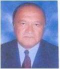 Mohammad Hassan Hamid